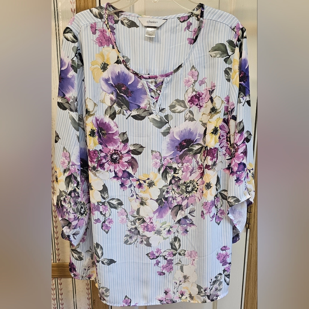 Cj banks pinstripe size x womens pastel blue purple floral t shirt blouse